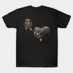 Dachshund Love - Black Version T-Shirt